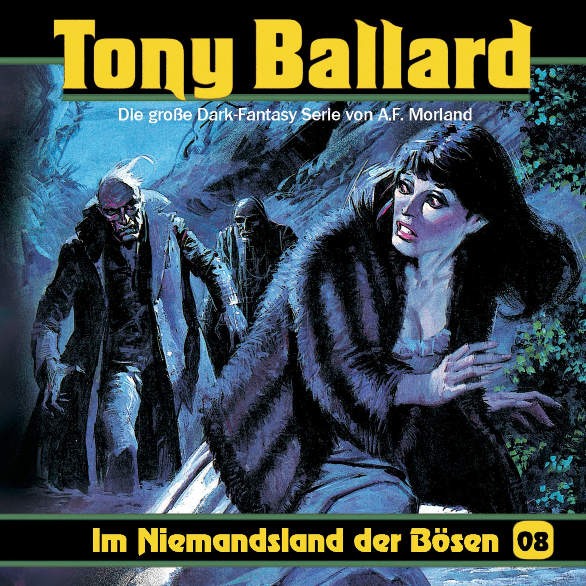 Band 8: im Niemandsland des Bösen Radio Plays