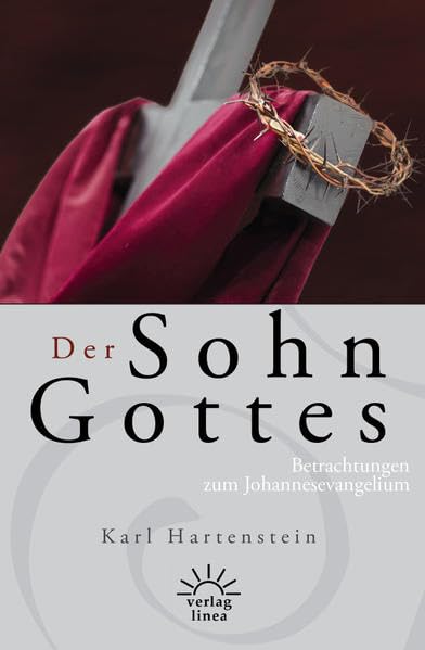 Der Sohn Gottes: Betrachtungen zum Johannesevangelium Religion & Esotericism
