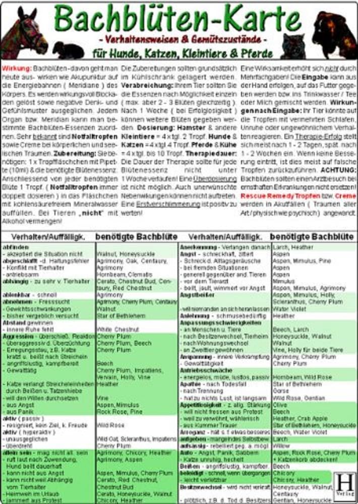 Bachblüten-Karte für Hunde, Katzen, Kleintiere und Pferde - Verhaltensweisen und Gemütszustände Medicine