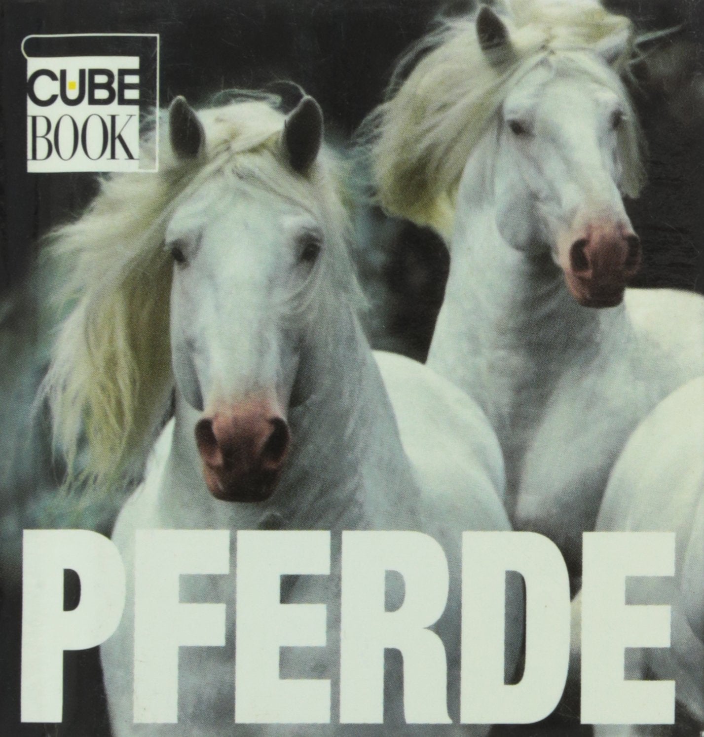 Pferde (MiniCube) Leisure, Home & Garden
