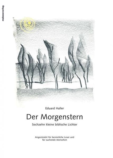 Der Morgenstern: Sechzehn kleine biblische Lichter Angezündet für besinnliche Leser und für suchende Menschen Religion & Esotericism
