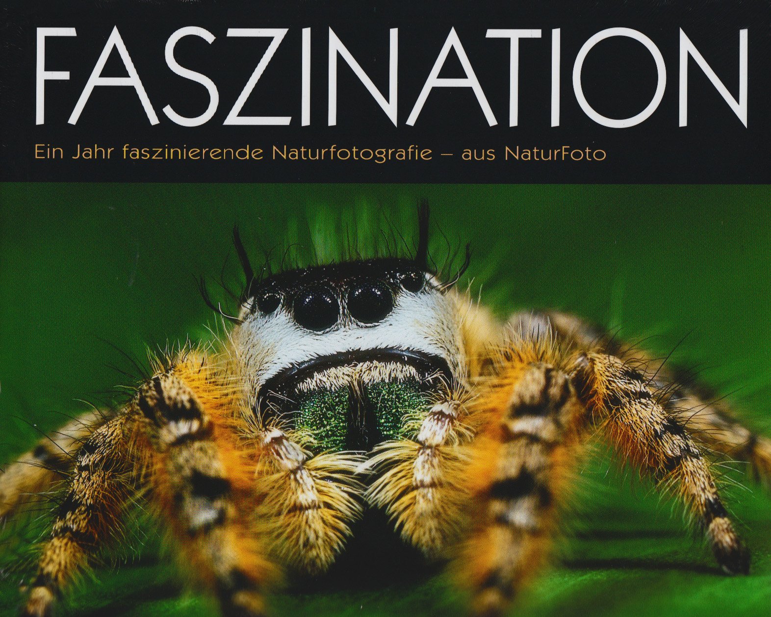 Faszination: Ein Jahr faszinierende Naturfotografie - aus Naturfoto Photography