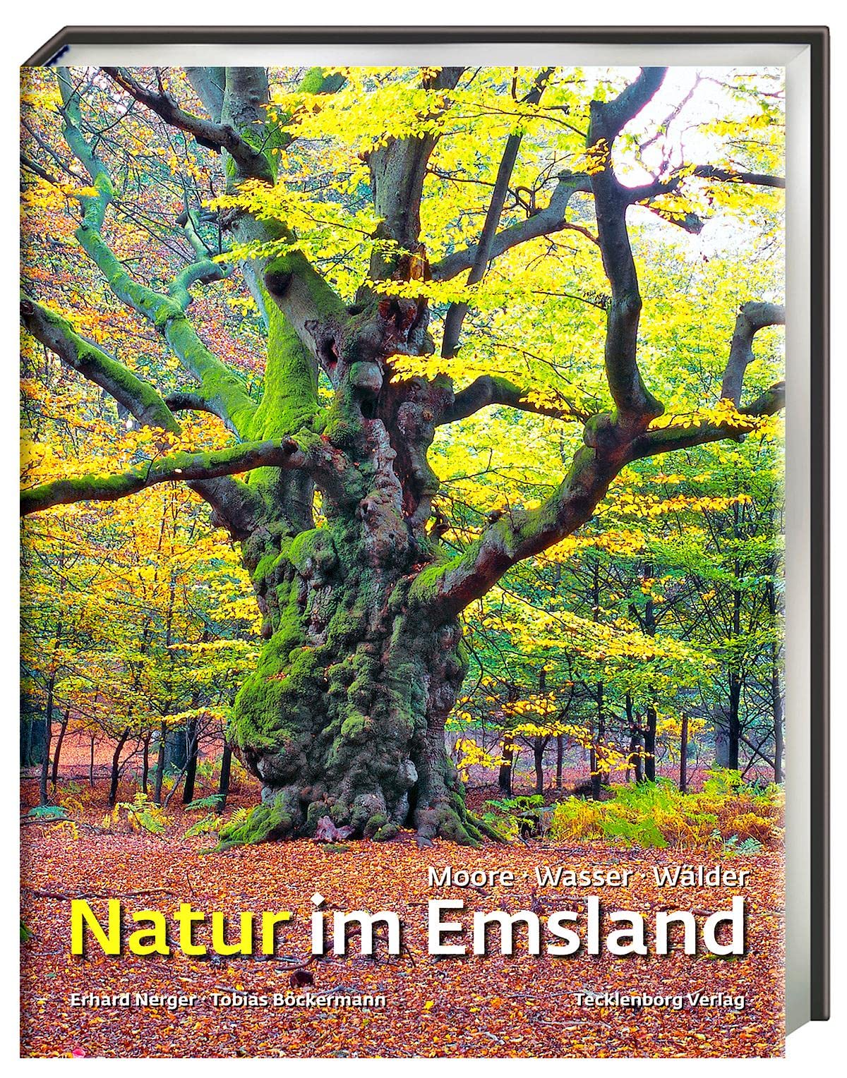 Natur im Emsland book