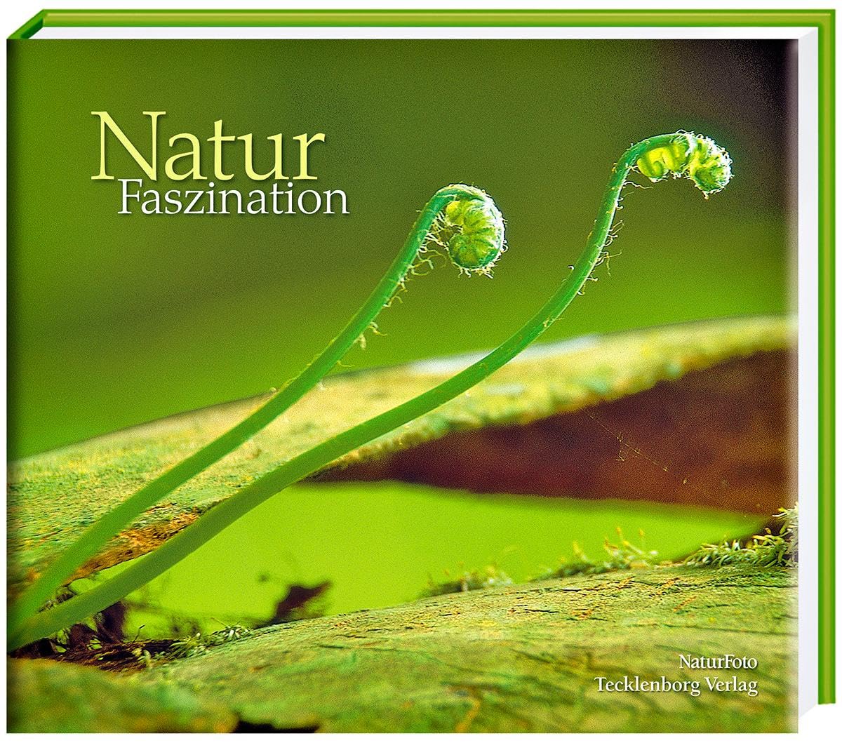 Natur Faszination Photography
