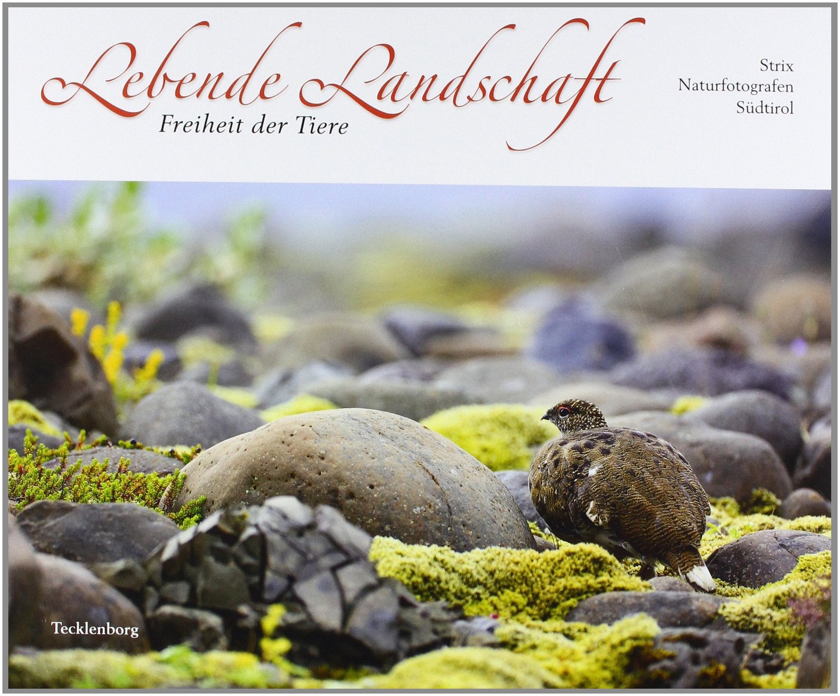 Lebende Landschaft: Freiheit der Tiere: Freiheit der Tiere. Herausgegeben von Strix Naturfotografen Südtirol Leisure, Home & Garden