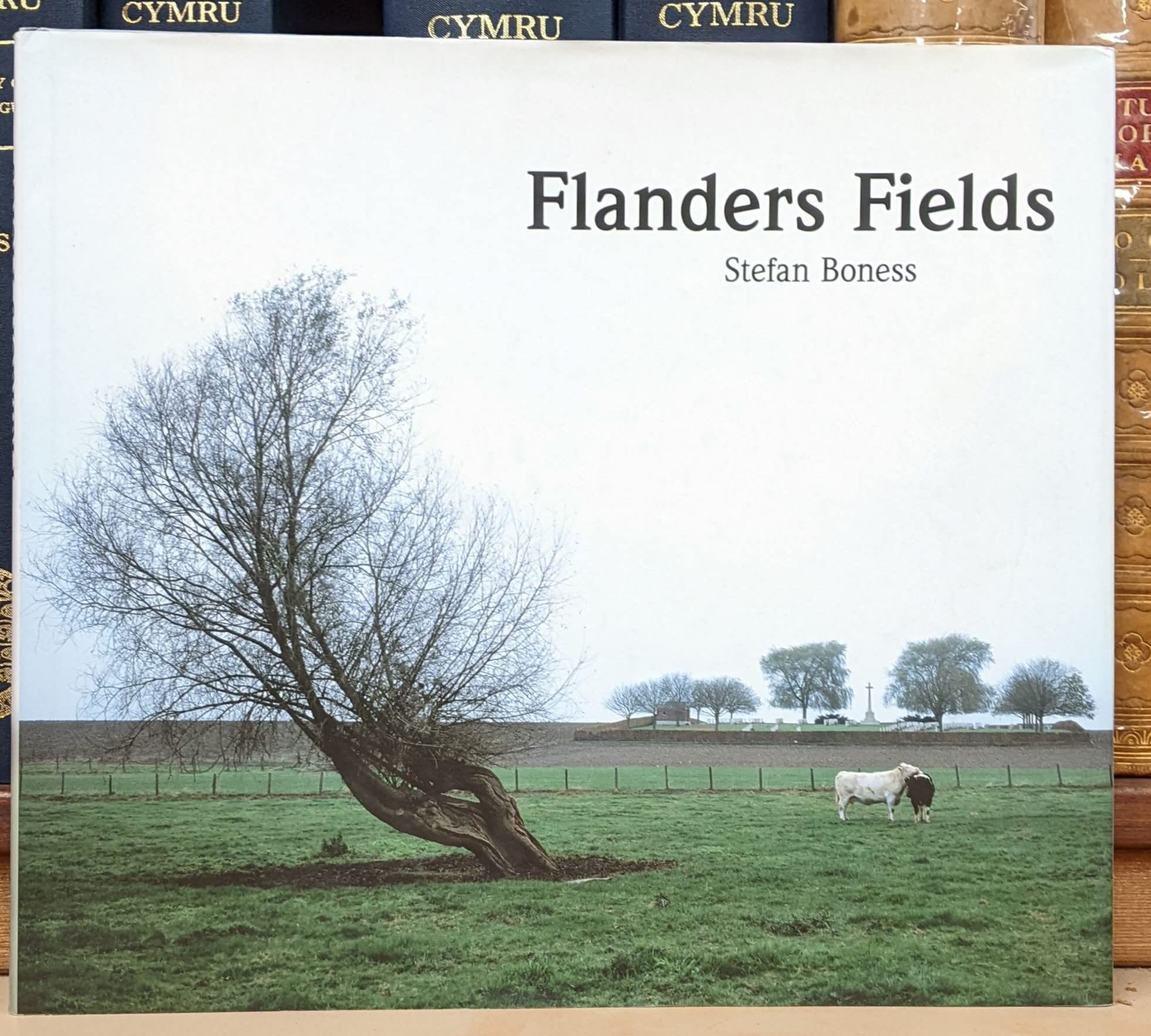 Flanders Fields: Eine fotografische Spurensuche auf den Schlachtfeldern des Ersten Weltkrieges Photography