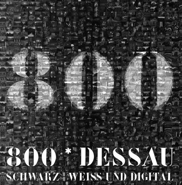 800x DESSAU scharz/weiß und digital Politics & History