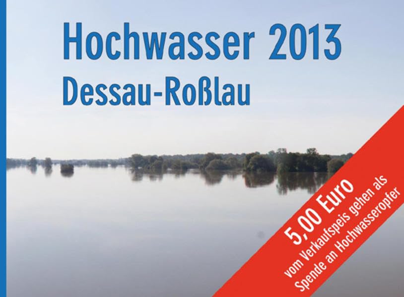Das Hochwasser in Dessau 2013 - Bild-und Dokumentationsband: Veröffentlichungen des Stadtarchivs Dessau-Roßlau, Band 12 Politics & History