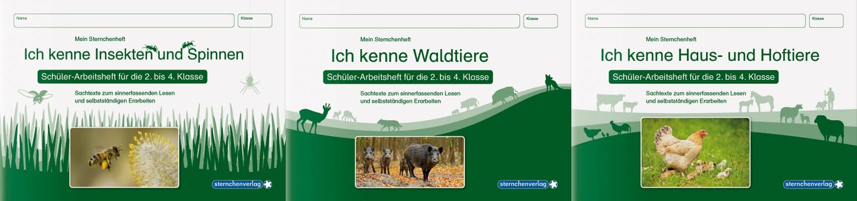 Ich kenne Waldtiere / Haus- und Hoftiere / Insekten und Spinnen - 3 Arbeitshefte im Set für die 2. bis 4. Klasse: Meine Sternchenhefte mit Sachtexten ... Erarbeiten (Mein Sternchenheft) Education & Training