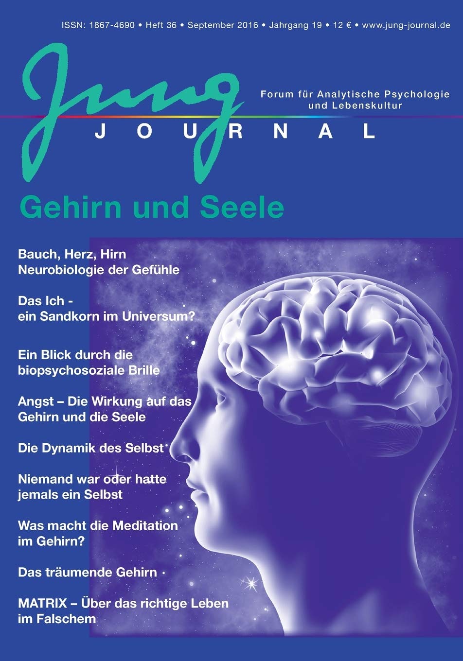 Jung Journal 36: Gehirn und Seele Medicine