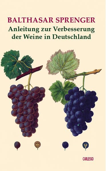 Anleitung zur Verbesserung der Weine in Deutschland (Weingeschichte - Historische Texte) Politics & History
