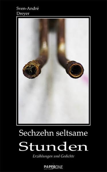 Sechzehn Seltsame Stunden: Erzählungen und Gedichte Poetry