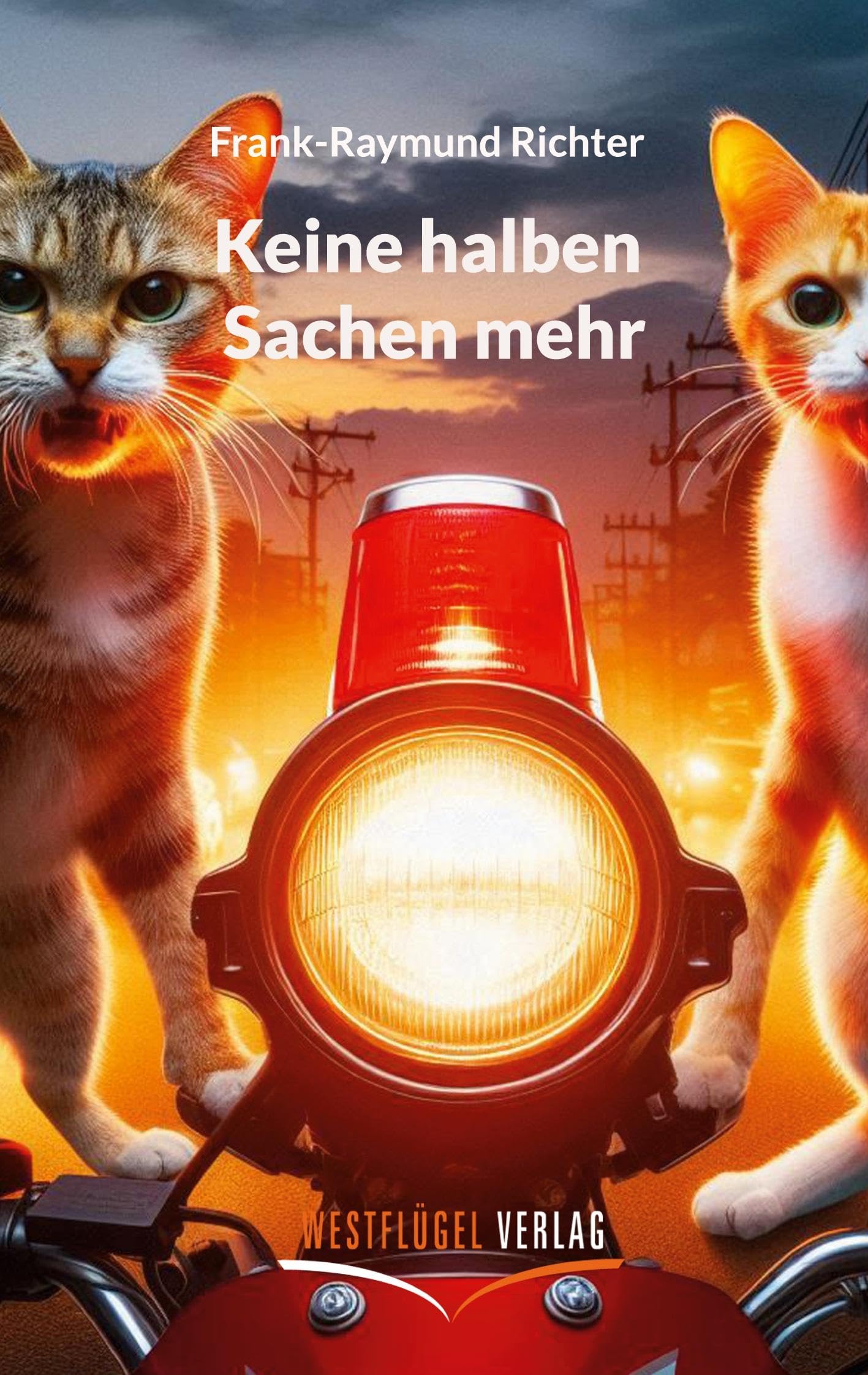 Keine halben Sachen mehr book