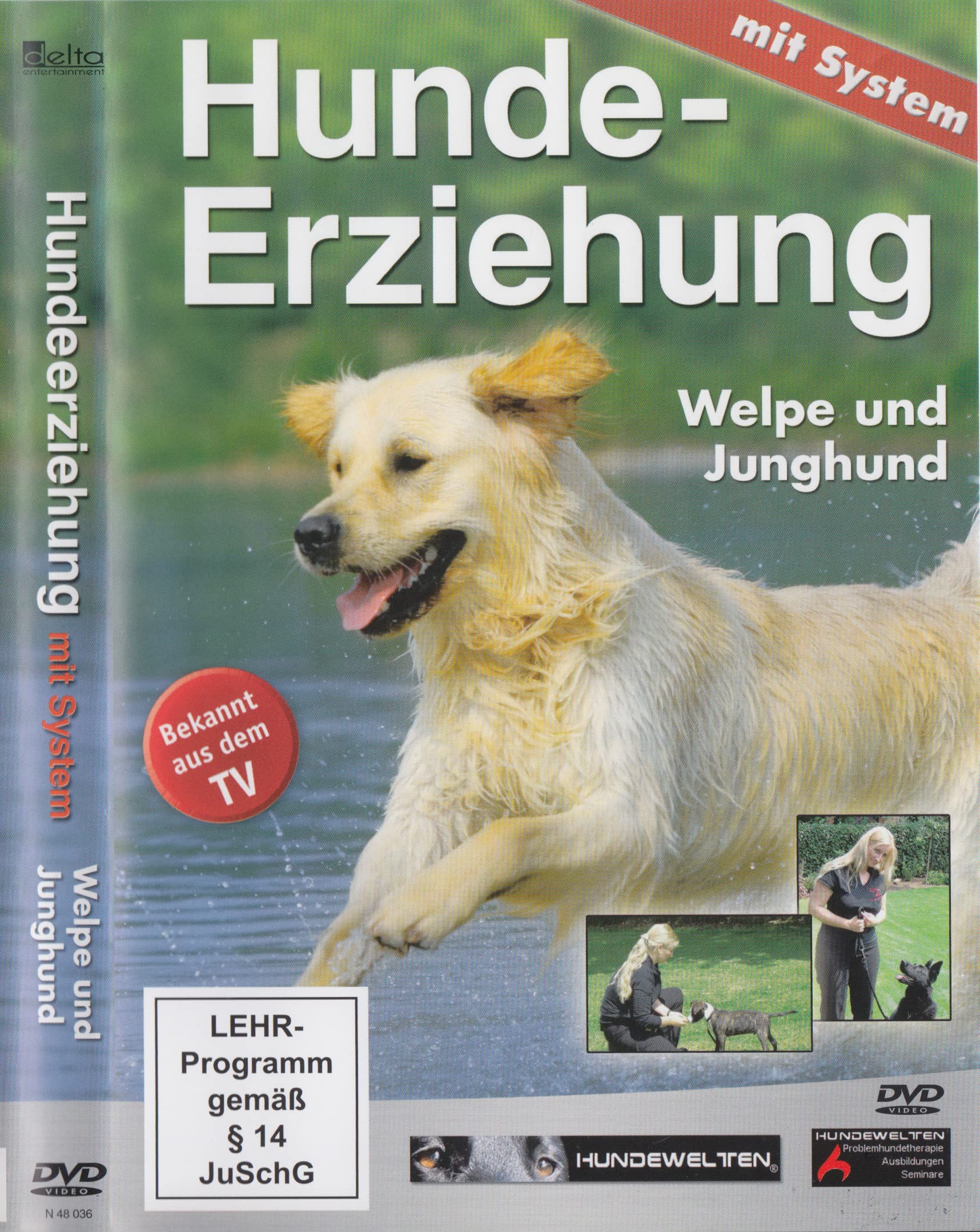 Hunde Erziehung mit System - Welpe und Junghund Films