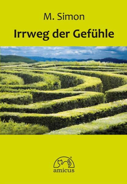 Irrweg der Gefühle Contemporary literature Books