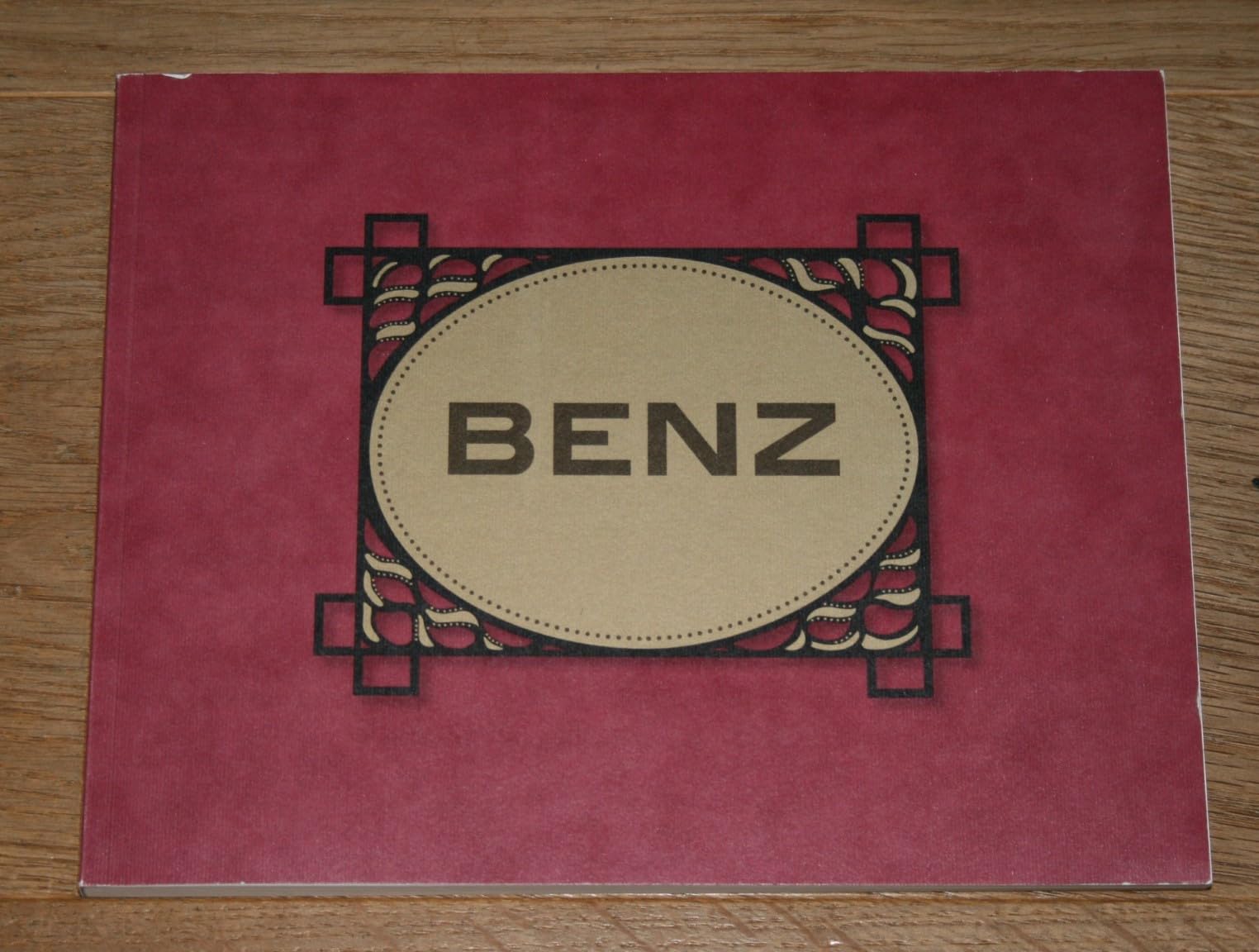 Die Benzwagen - Vom ersten Benzinautomobil zum Weltrekordwagen book