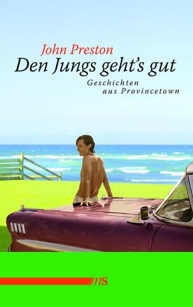 Den Jungs geht’s gut: Geschichten aus Provincetown Contemporary literature