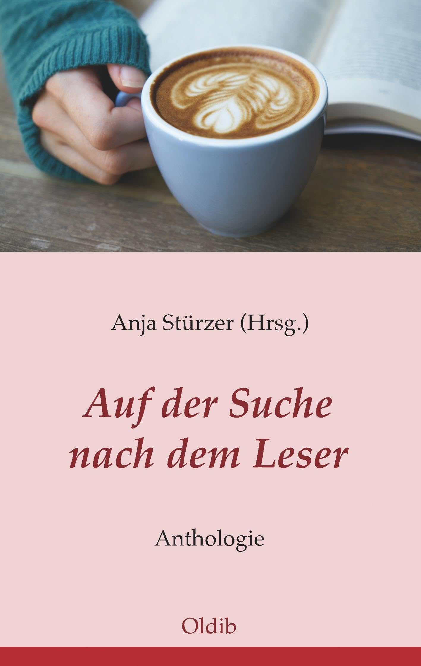 Auf der Suche nach dem Leser Essays & Short Stories