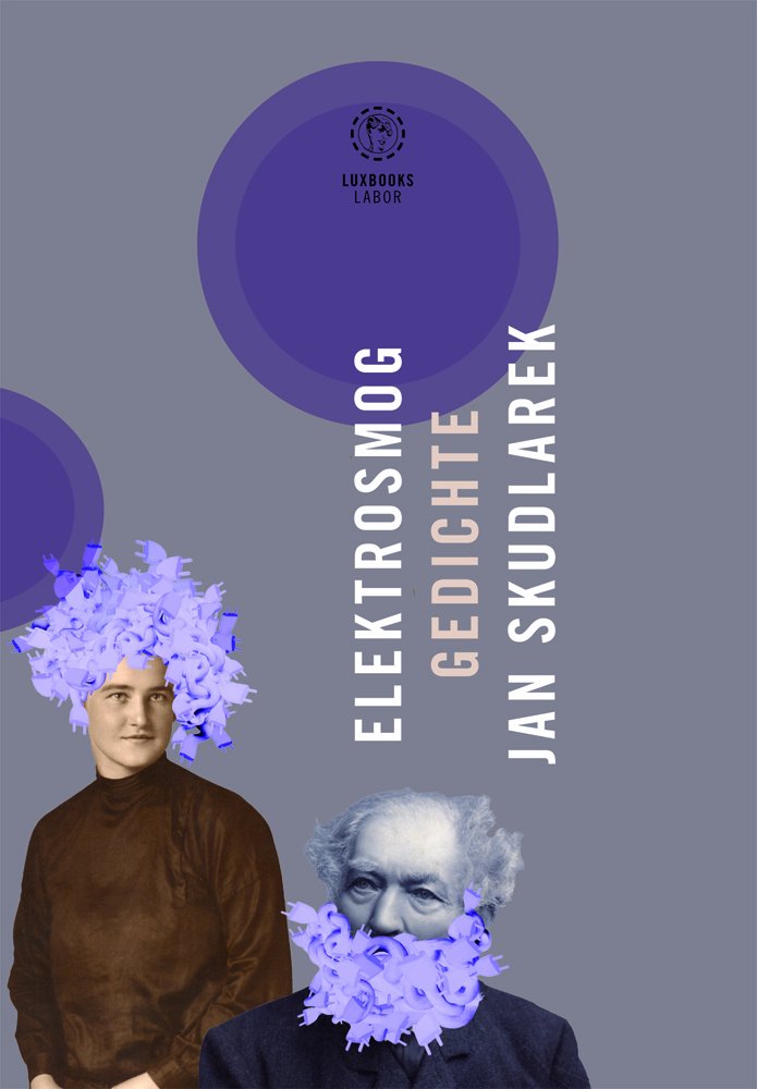 Elektrosmog: Gedichte (luxbooks.labor / luxbooks.lyrik: labor) Poetry