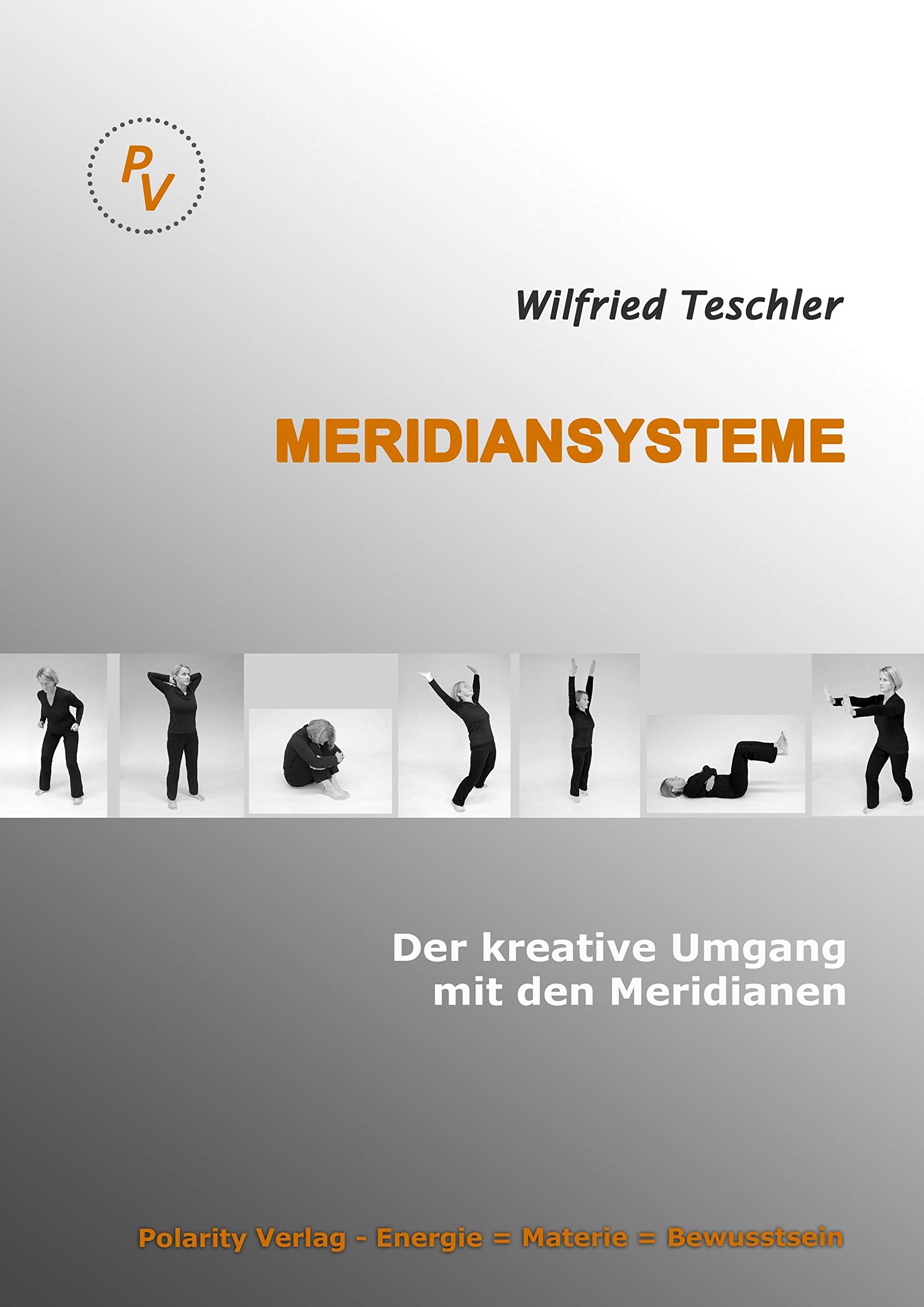Meridiansysteme: Der kreative Umgang mit den Meridianen Medicine