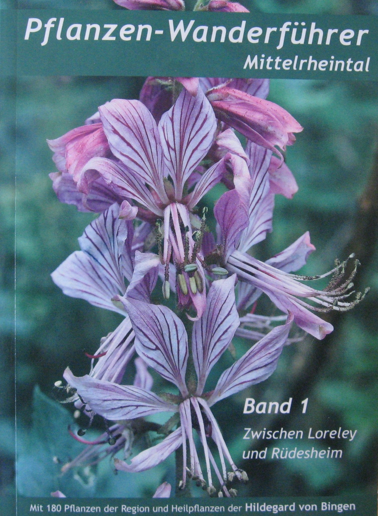 Pflanzen-Wanderführer Mittelrheintal: Band 1: Zwischen Loreley und Rüdesheim. Mit 180 Pflanzen der Region und Heilpflanzen der Hildegard von Bingen Leisure, Home & Garden