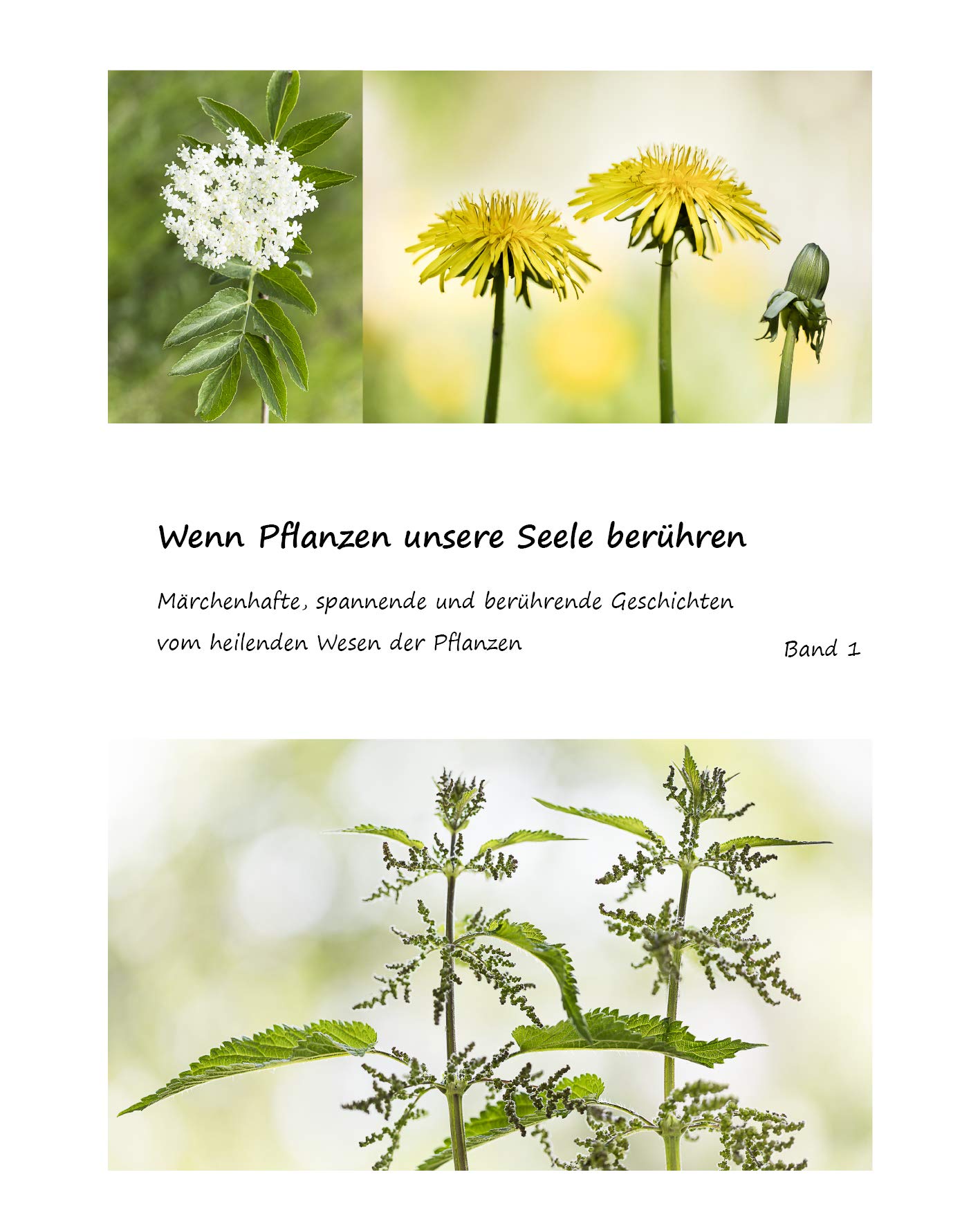 Wenn Pflanzen unsere Seele berühren: Märchenhafte, spannende und berührende Geschichten vom heilenden Wesen der Pflanzen Health, Nutrition & Fitness