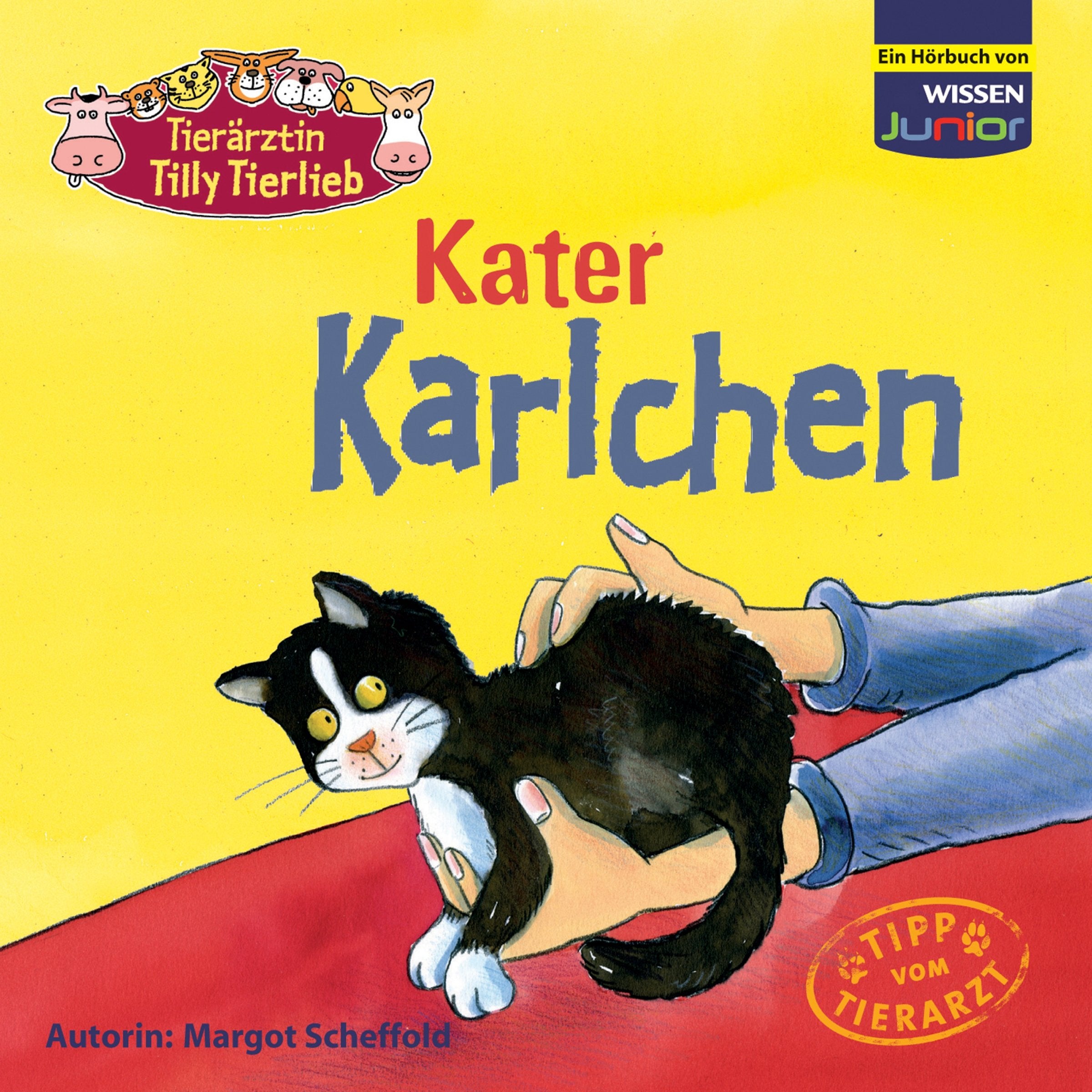 Kater Karlchen, 1 Audio-CD Medicine