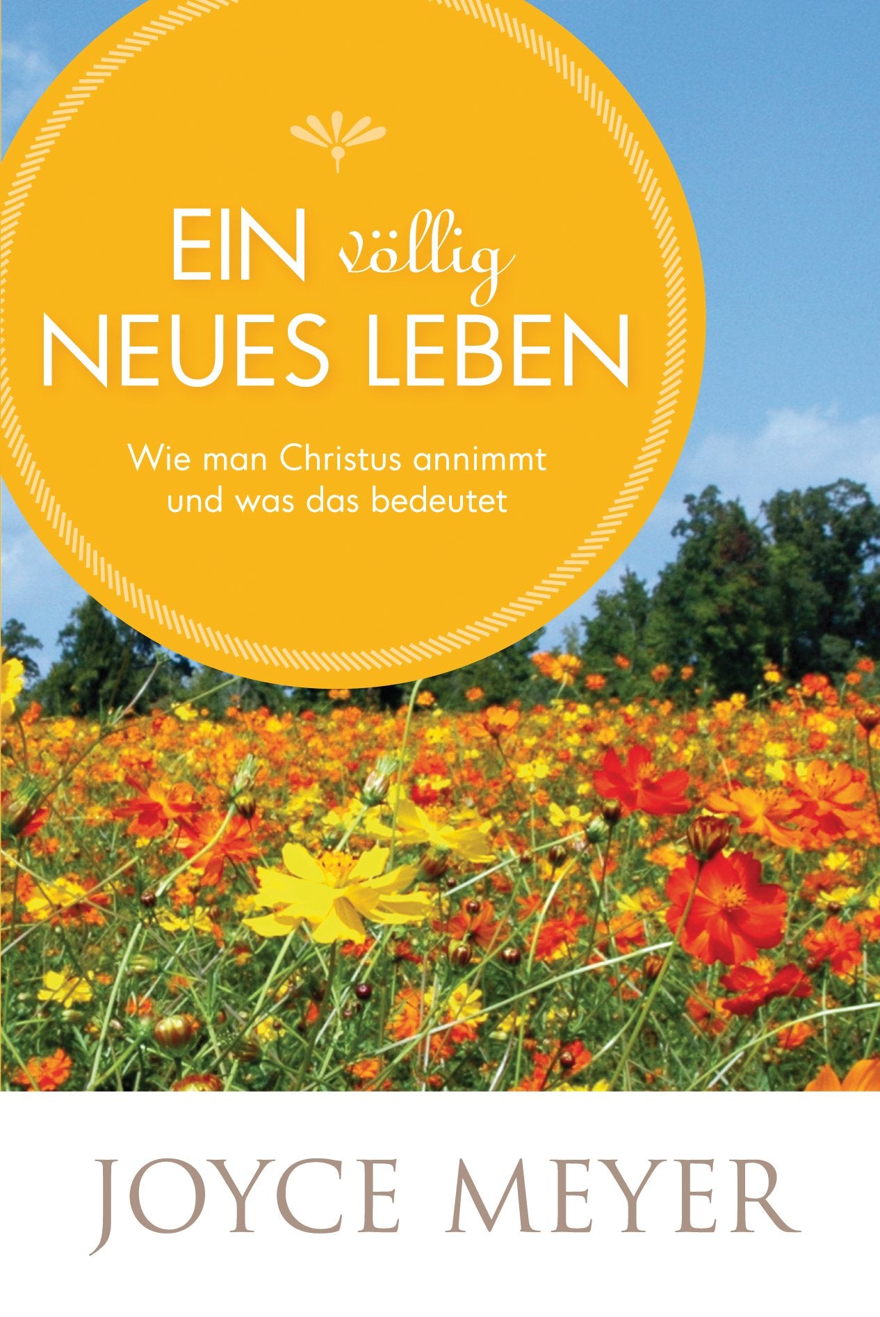Ein völlig neues Leben: Wie man Christus annimmt und was das bedeutet Lifestyle