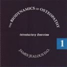 The Biodynamics of Osteopathy - The Patient´s Neutral /Basic Level Books