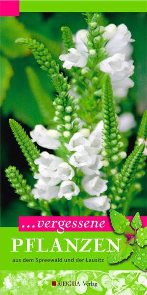 ... vergessene PFLANZEN: aus dem Spreewald und der Lausitz Leisure, Home & Garden