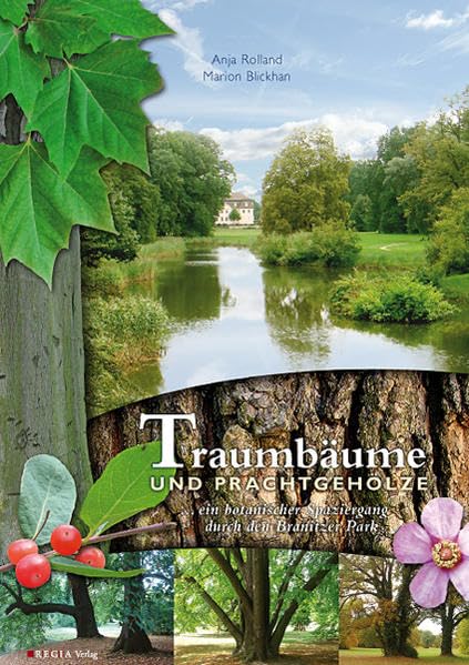 Traumbäume und Prachtgehölze: ... ein botanischer Spaziergang durch den Branitzer Park Leisure, Home & Garden