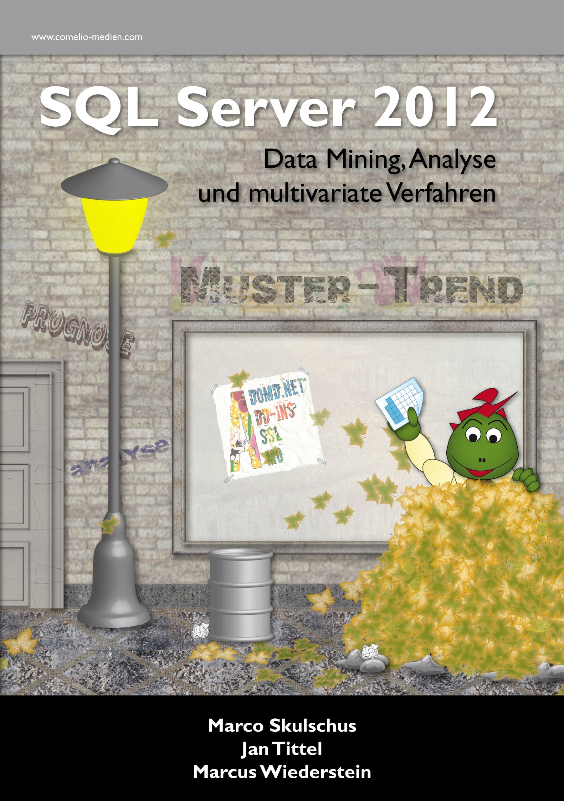 MS SQL Server 2012 (4) – Data Mining, Analyse und multivariate Verfahren Computer Science