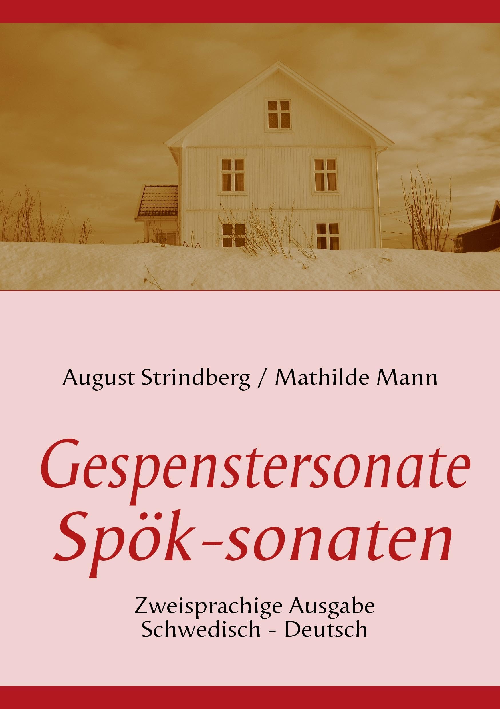 Die Gespenstersonate - Spök-sonaten Contemporary literature