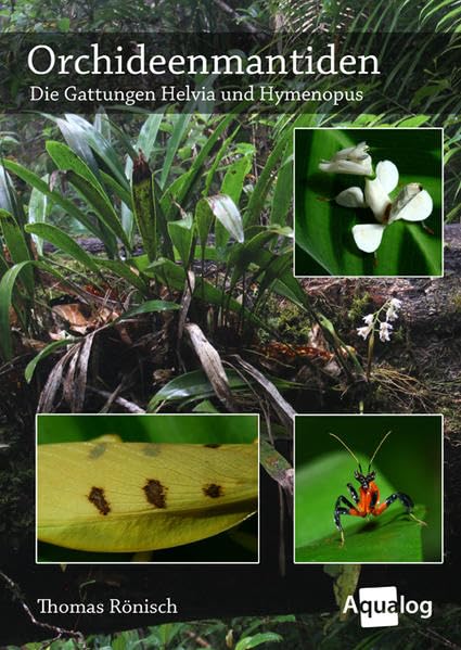 Orchideenmantiden - Die Gattungen Helvia & Hymenopus (Aqualog) Hobbies & Crafts