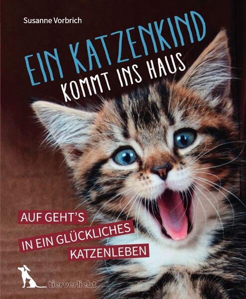 Ein Katzenkind kommt ins Haus Pets