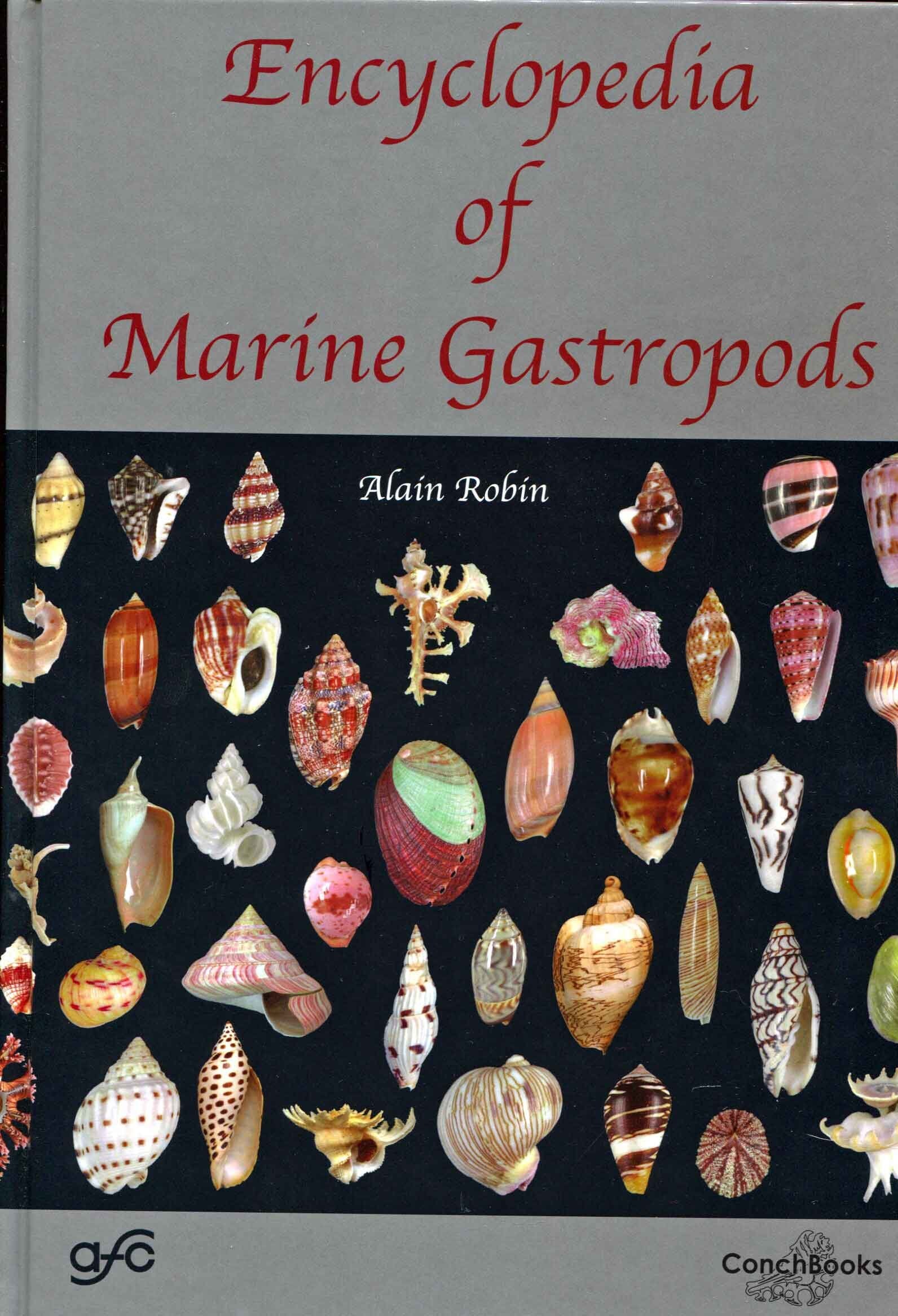 Encyclopedia of Marine Gastropods Mathematics