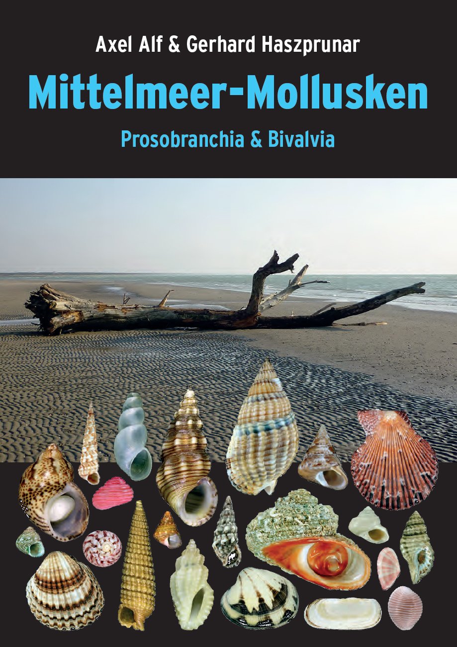 Mittelmeer-Mollusken: Prosobranchia & Bivalvia Natural Sciences