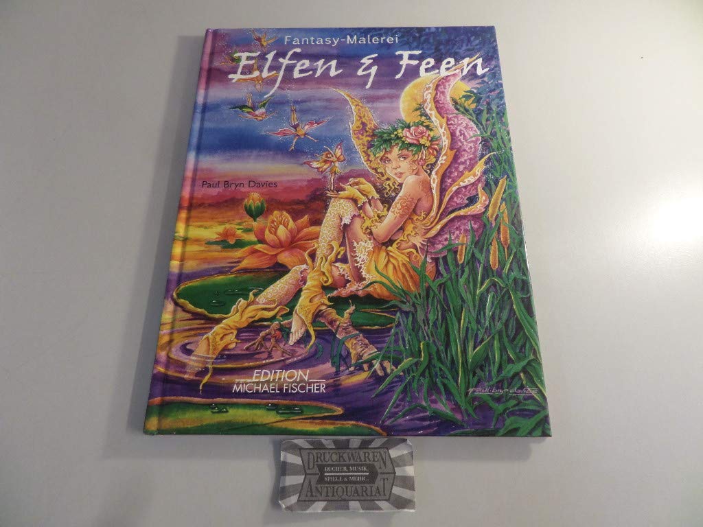 Elfen & Feen: Fantasy - Malerei book