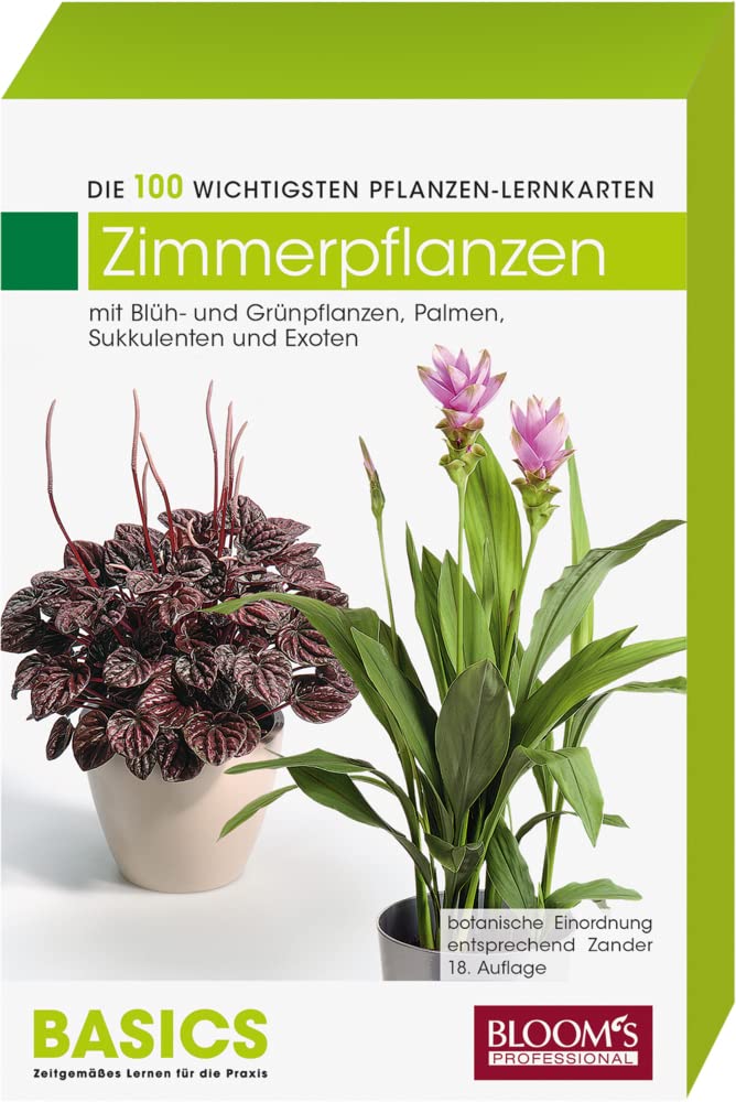Zimmerpflanzen: Die 100 wichtigsten Pflanzen-Lernkarten Study Guides
