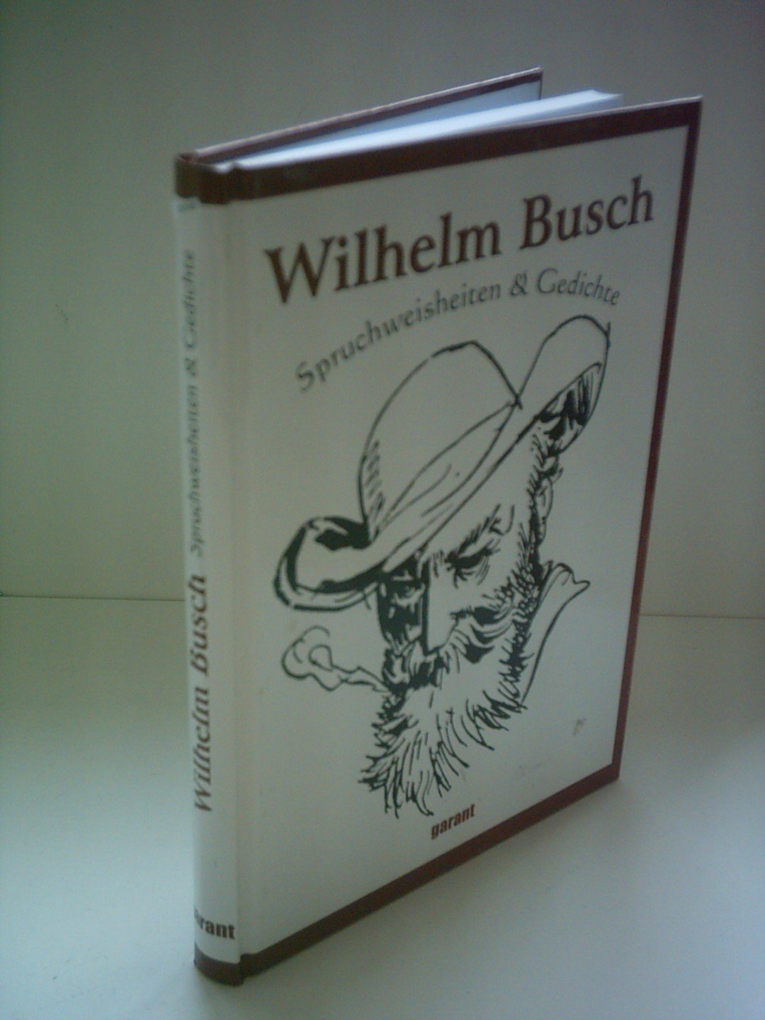 Das große Wilhelm Busch Familienalbum Contemporary literature
