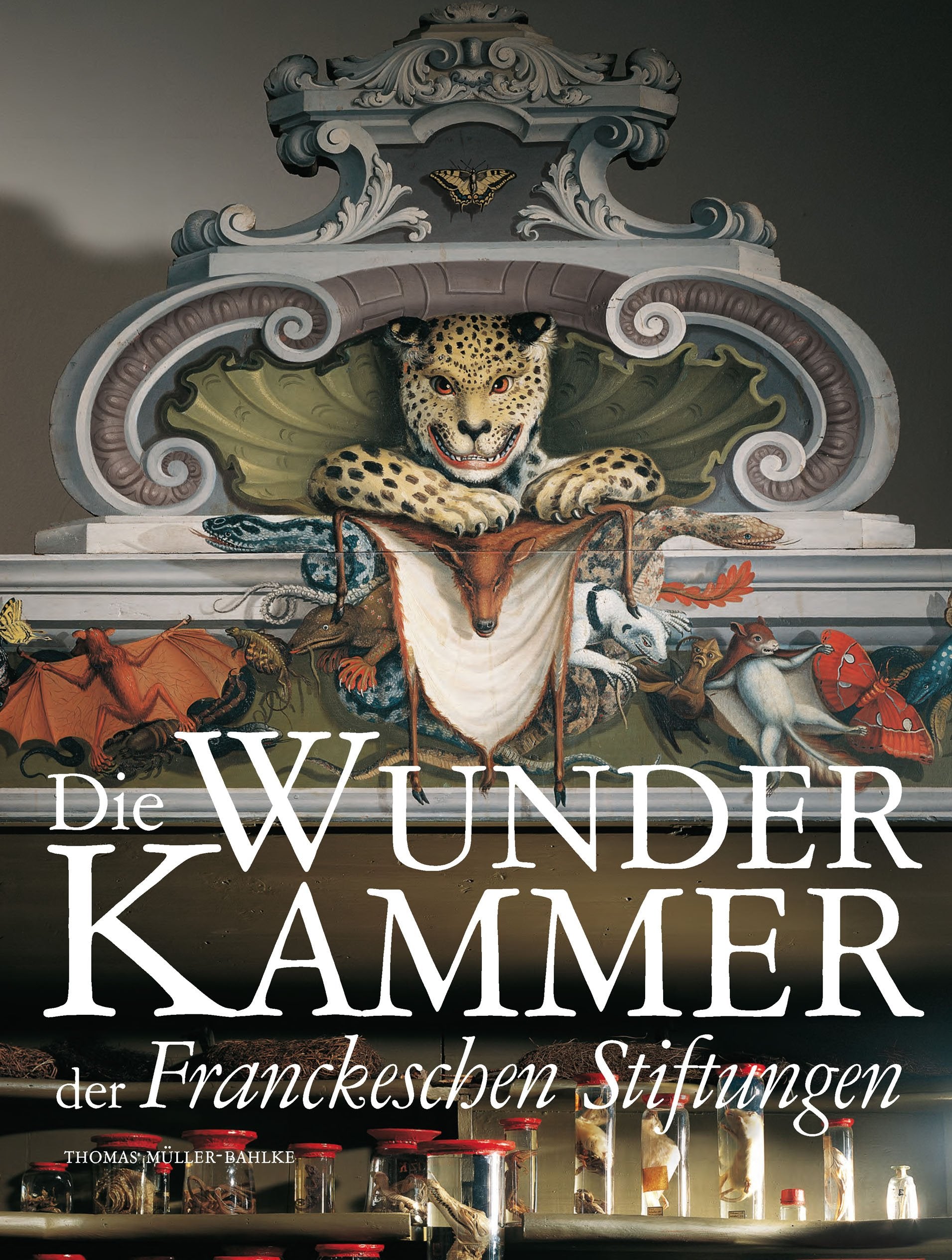Die Wunderkammer der Franckeschen Stiftungen Politics & History