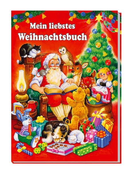 Mein liebstes Weihnachtsbuch mit CD Non-fiction books for kids