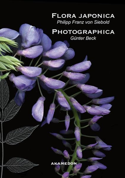 Philipp Franz von Siebold: Flora japonica / Günter Beck: Flora photographica (Kataloge aus dem Würzburger Sieboldmuseum) Film, Art & Culture