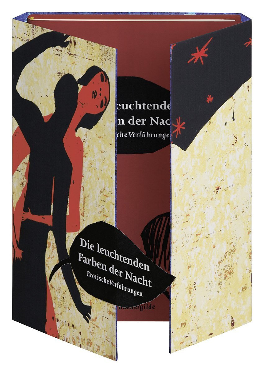 Die leuchtenden Farben der Nacht: Erotische Verführungen Contemporary literature