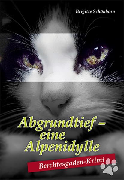 Abgrundtief - eine Alpenidylle Contemporary literature