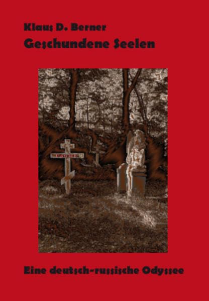 Geschundene Seelen: Eine deutsch-russische Odyssee Contemporary literature
