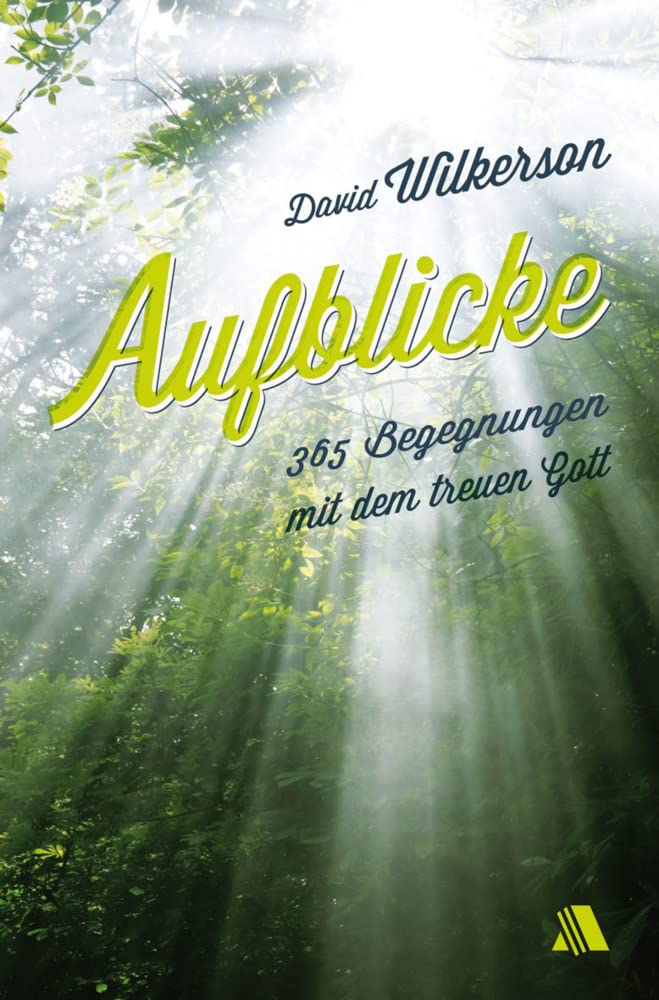 Aufblicke: 365 Begegnungen mit dem treuen Gott Religion & Esotericism