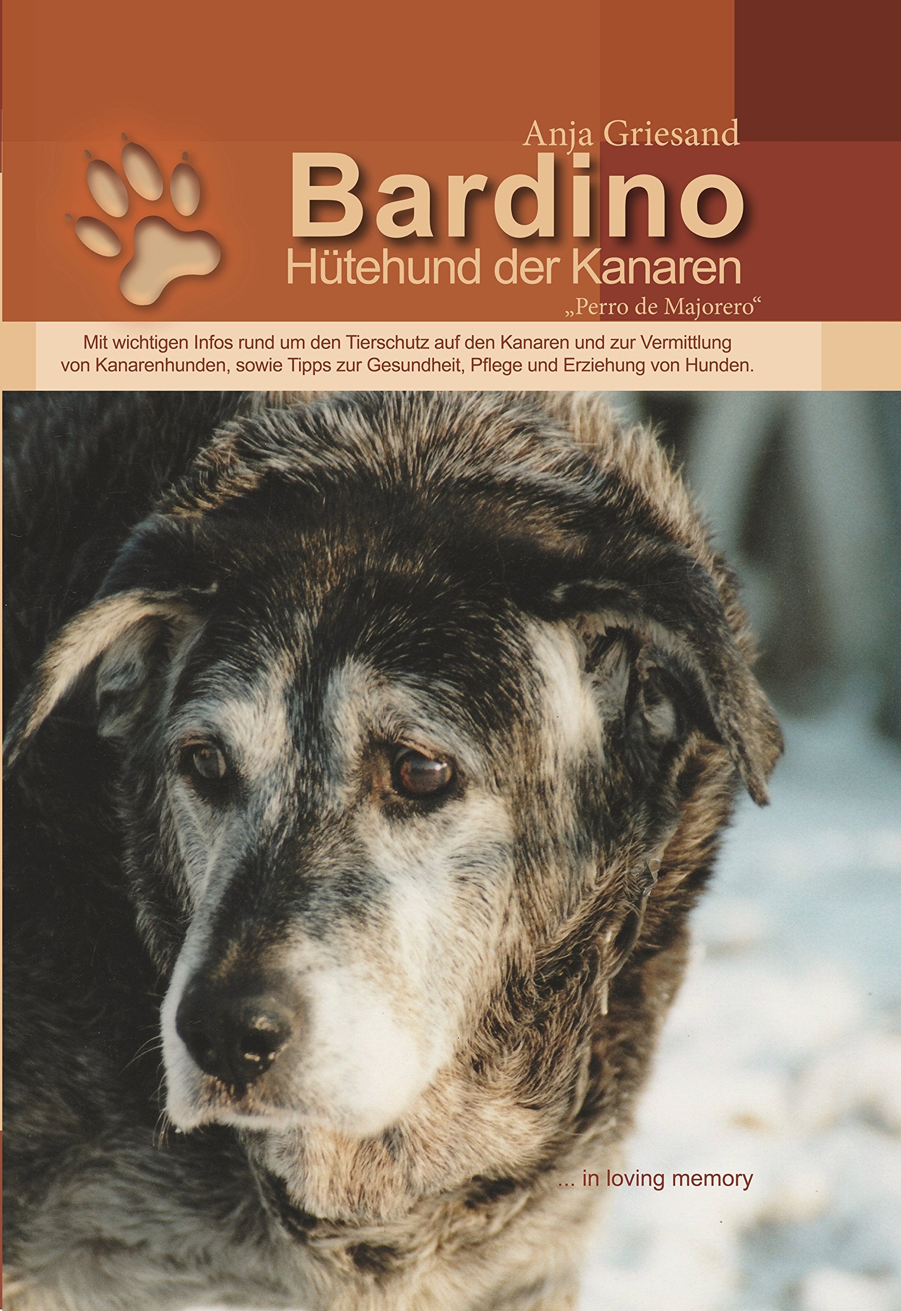 Bardino: Hütehund der Kanaren Pets