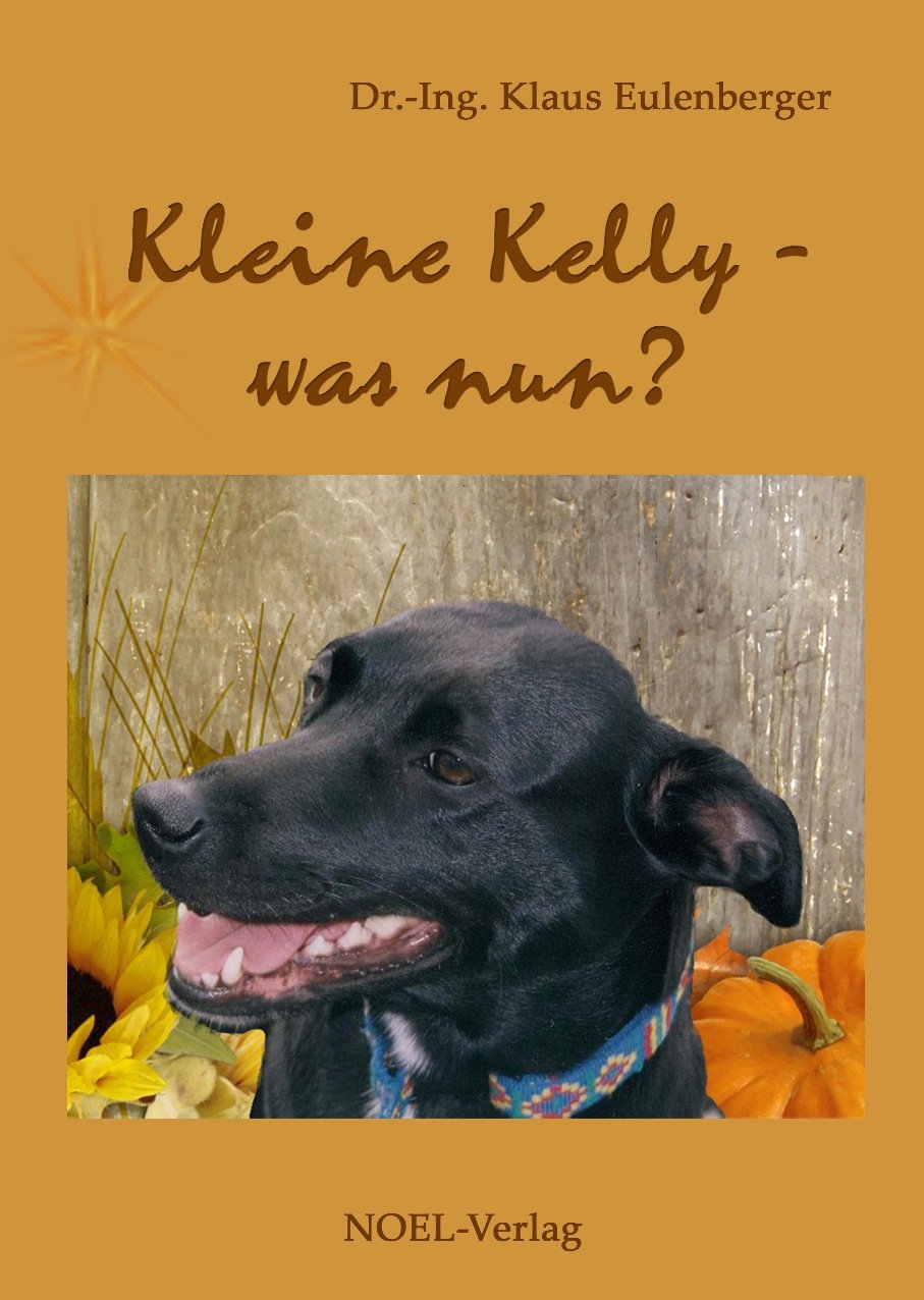Kleine Kelly - was nun? book