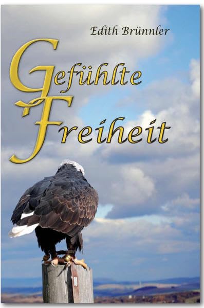 Gefühlte Freiheit: Kurzgeschichten Contemporary literature Books